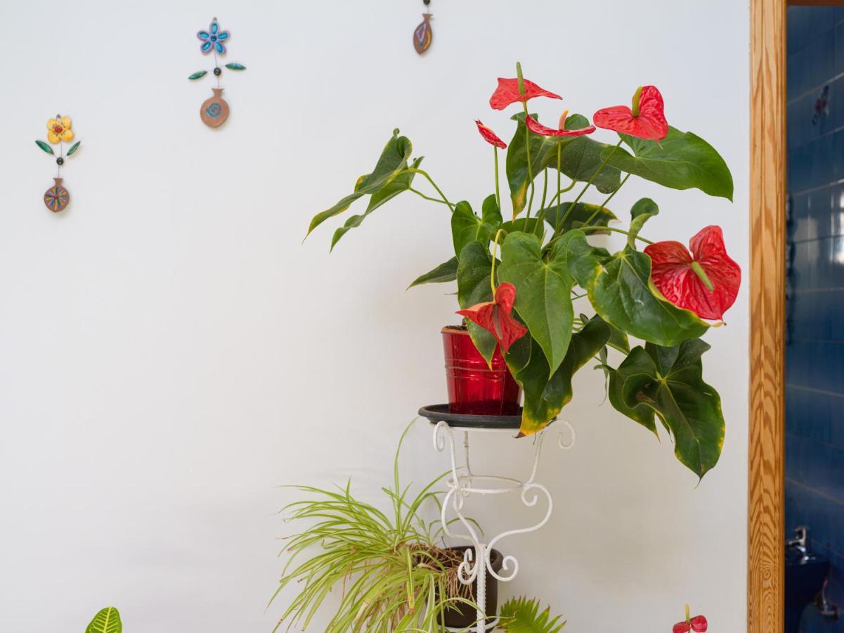 Agaete Pupe Home By Canariasgetaway エクステリア 写真