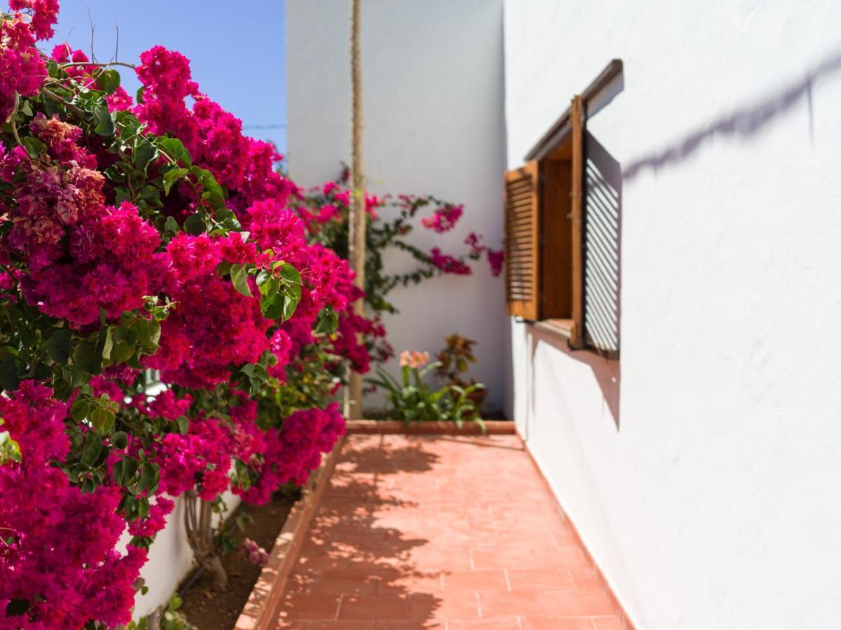 Agaete Pupe Home By Canariasgetaway エクステリア 写真